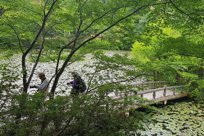 Private Car Day Trip to the Kobe Mountains, Gardens and Hot Springs From Osaka - Itinerary