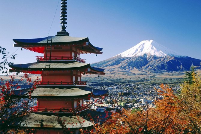 Private Transport Mt Fuji and Hakone 1 Day Trip - Cancellation Policy