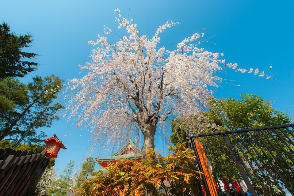 Sakura in Tokyo: Cherry Blossom Experience - Personalized Hanami Itinerary
