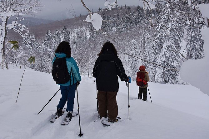 Snowshoe Hike Tour From Sapporo - Reviews From Previous Travelers