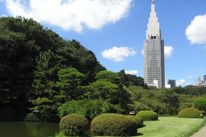 Tokyo Private Car Tour: Professional Guide and Driver/Optional Airport Xfer - Create Lasting Memories With Special Experiences and Positive Reviews