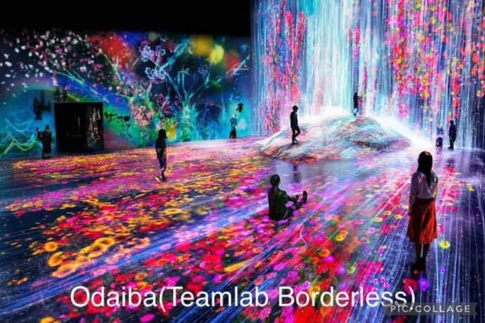 Tokyo: Private Full Day Sightseeing Tour - Tour Highlights