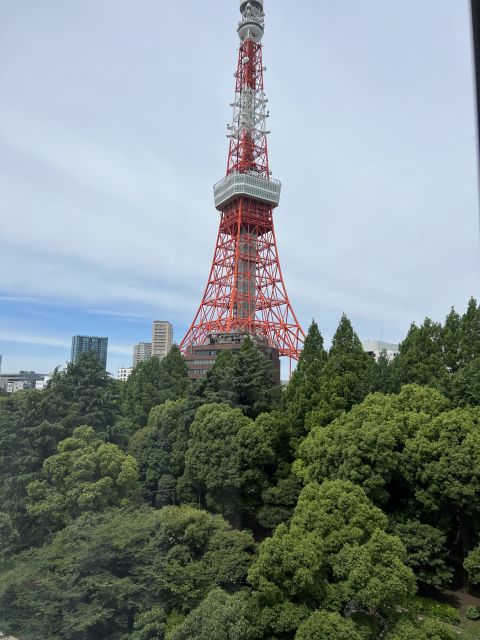 Tokyo Private Sightseeing Customizable Day Tour by Car & Van - Cultural Experiences