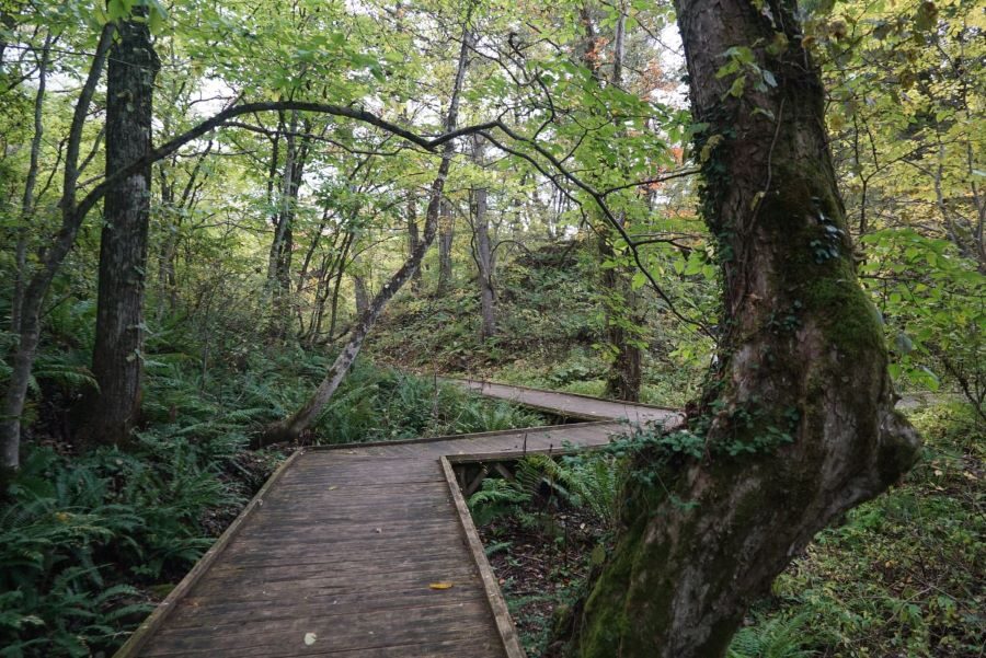 Colored Ponds Nature Hiking Great View Onsen Tour