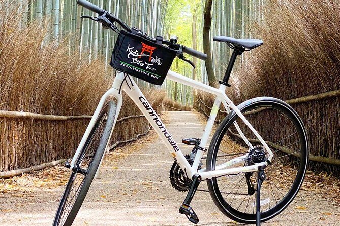 5-top-highlights-of-kyoto-with-kyoto-bike-tour11