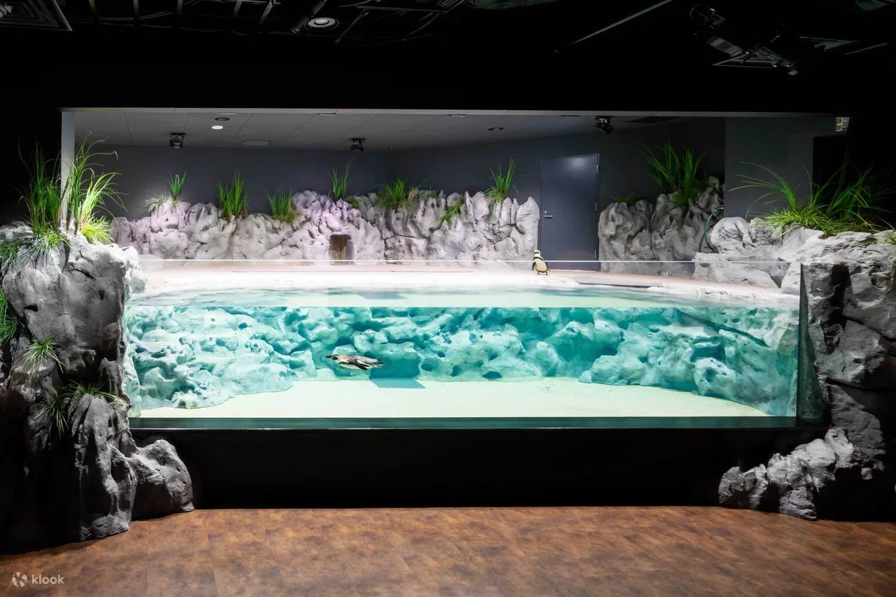 DMM Kariyushi Aquarium Ticket in Tomigusuku - Location