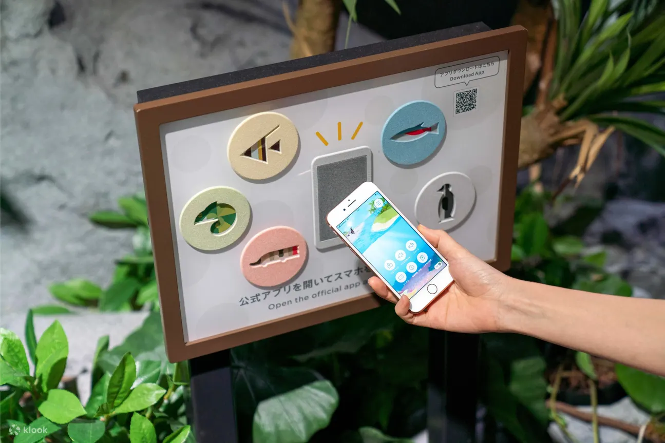 DMM Kariyushi Aquarium Ticket in Tomigusuku - The Sum Up