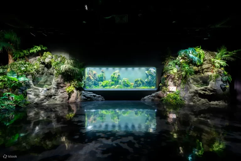 DMM Kariyushi Aquarium Ticket in Tomigusuku