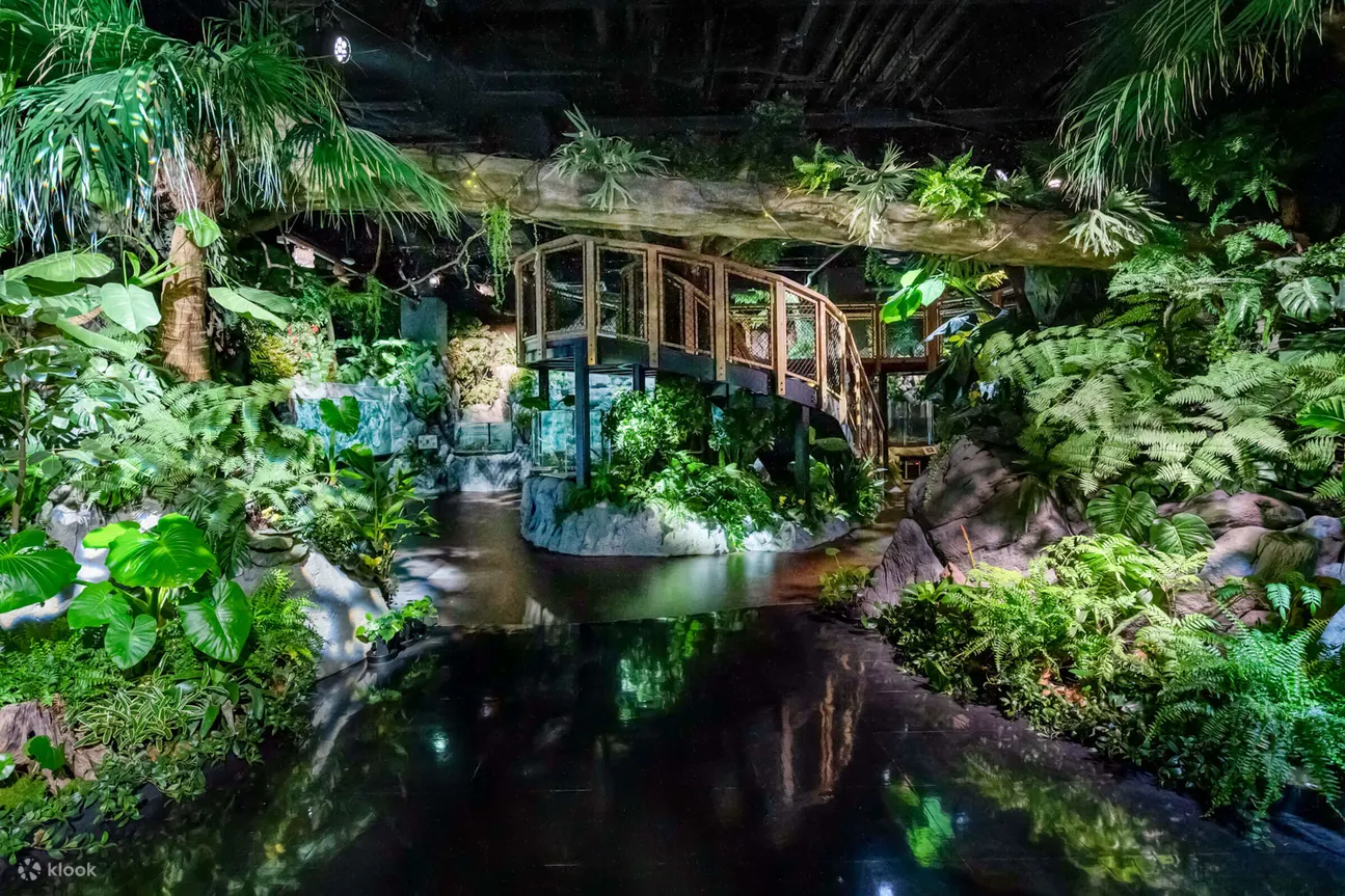 DMM Kariyushi Aquarium Ticket in Tomigusuku - Directions