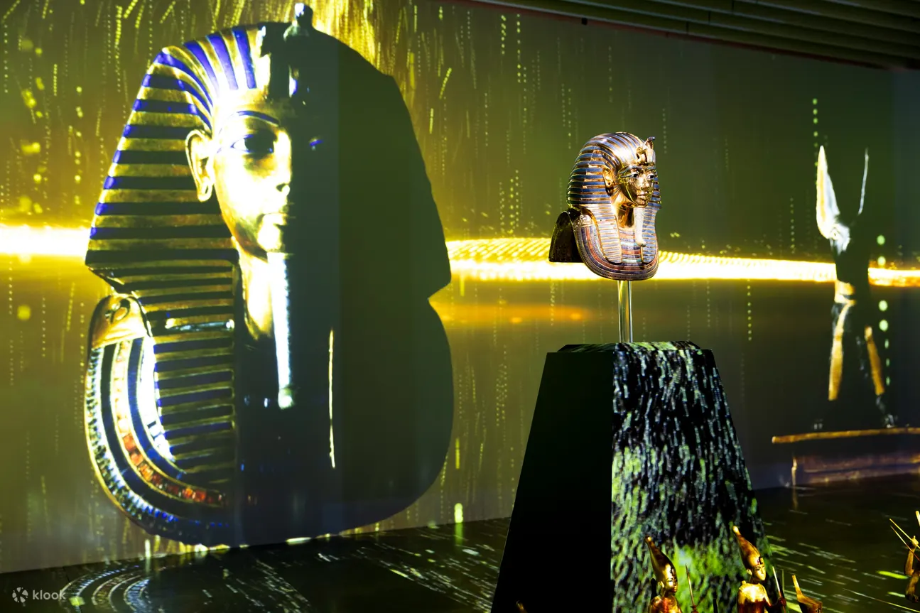 Kadokawa Musashino Museum Ticket in Tokorozawa Sakura Town - Bookshelf Theater and Projection Mapping