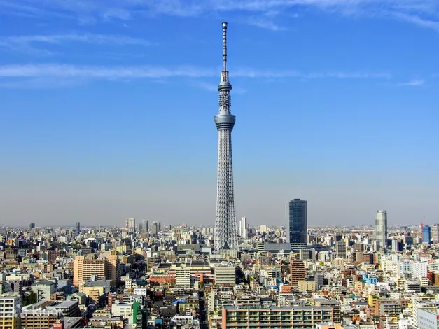 Tokyo Amazing Sightseeing Bus Day Tour - Package Options