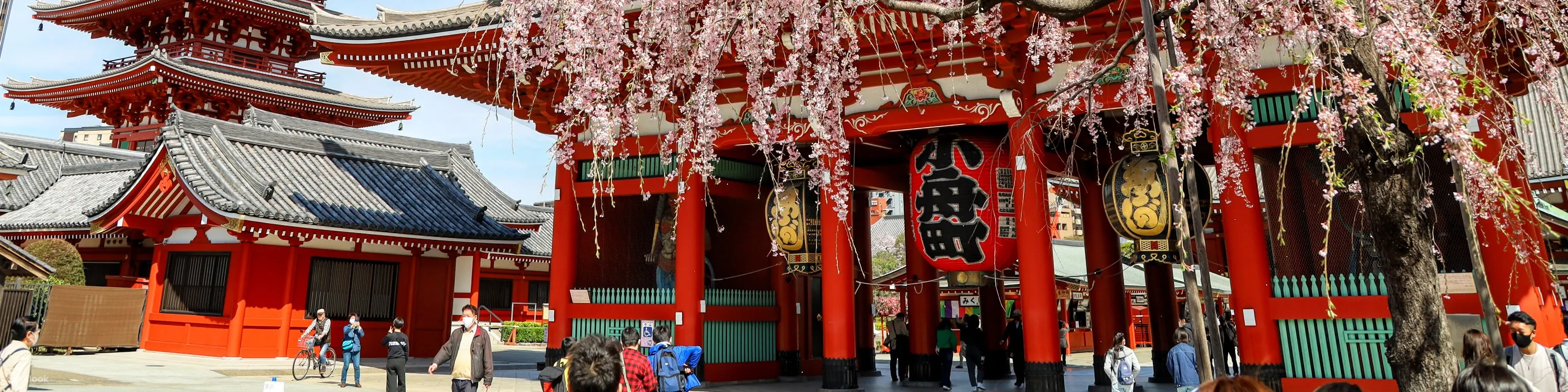 Tokyo Amazing Sightseeing Bus Day Tour - The Sum Up