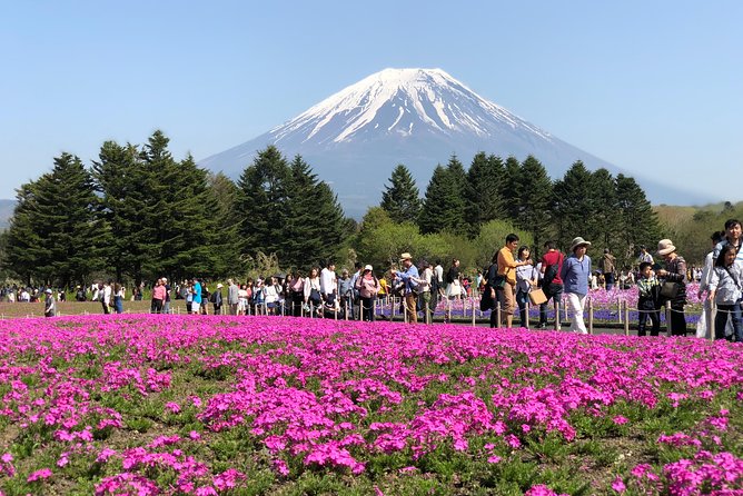 1 Day Private Mt Fuji Sightseeing Tour Car/Van With “English Speaking Driver” - Itinerary