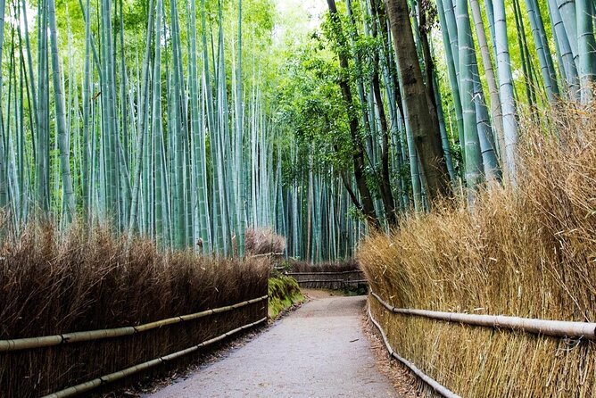Arashiyama Bamboo Grove Day Trip From Kyoto With a Local: Private & Personalized - Experiencing the Authenticity of Arashiyamas Traditional Arts and Crafts