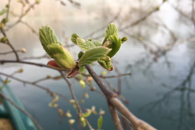 Dive Naturally! Melting Kinshu Lake Submerged Forest Canoe Tour - Frequently Asked Questions