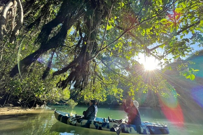 Enjoy Nature! Mangrove Kayak Tour! - Weather and Refund Policy