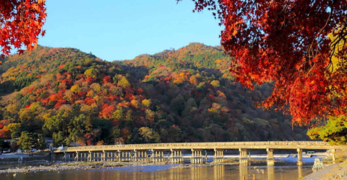 From Kyoto: Guided Day Trip to Kyoto and Nara With Lunch - Interacting With Wild Deer in Nara Park
