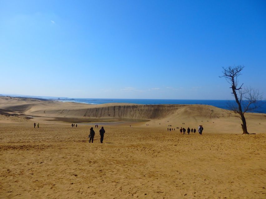 From Osaka: Tottori Sand Dunes,Hakuto Shrine Museum Bus Tour - Visit the Serene Hakuto Shrine