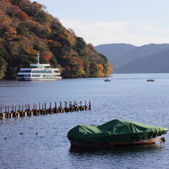 From Tokyo: Mount Fuji and Hakone Private Day Tour - Top-rated Service and Reviews