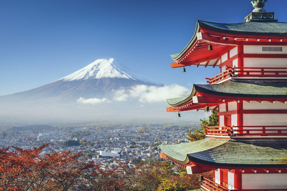 From Tokyo: Mount Fuji Private Day Tour - Pricing and Availability