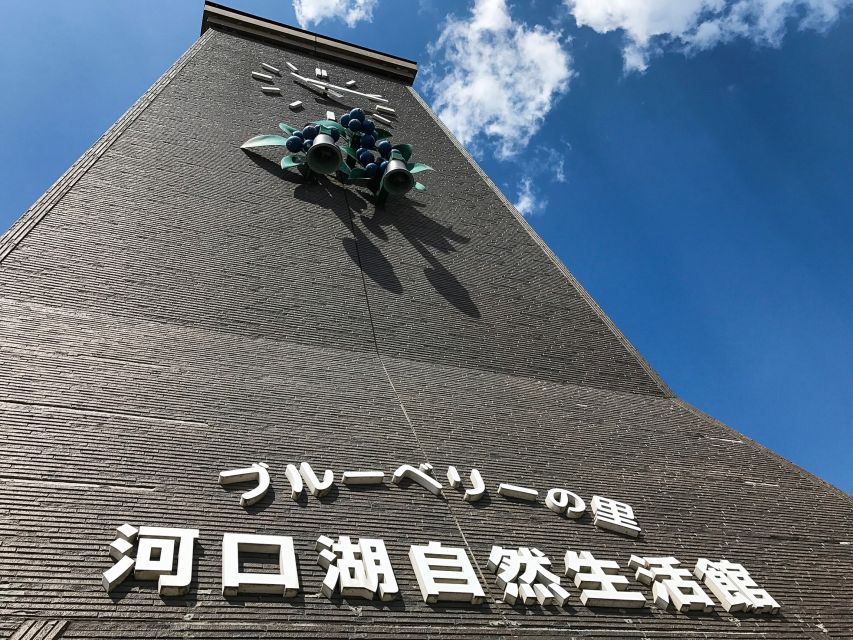 From Tokyo: Mt. Fuji Full-Day Sightseeing Trip - Reviews and Ratings