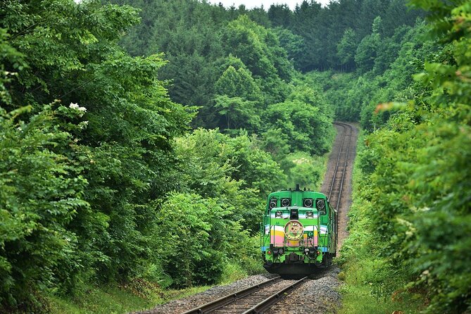 Furano & Biei 6 Hour Tour: English Speaking Driver Only, No Guide - Frequently Asked Questions