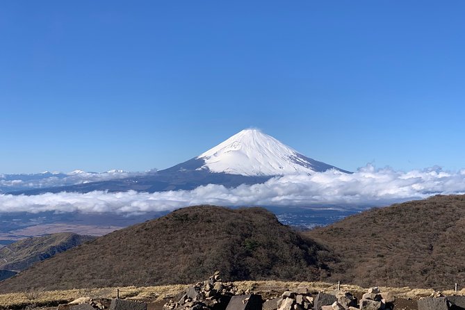 Hakone Private One Day Tour From Tokyo: Mt Fuji, Lake Ashi, Hakone National Park - Cancellation Policy