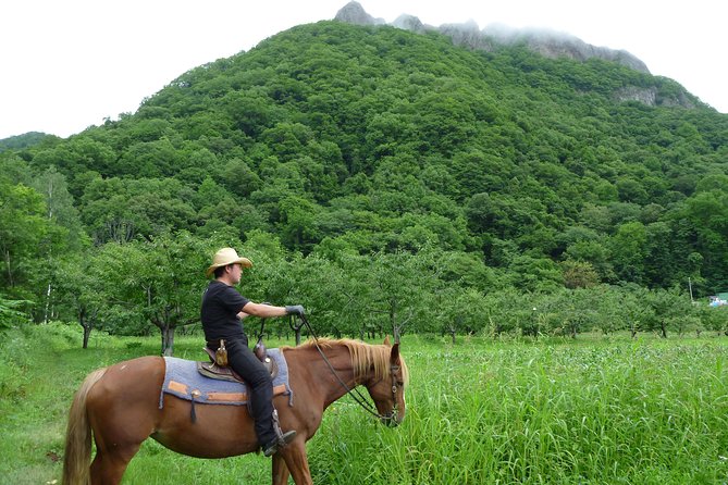 Horseback-Riding in a Country Side in Sapporo - Private Transfer Is Included - Tour Overview and Experience