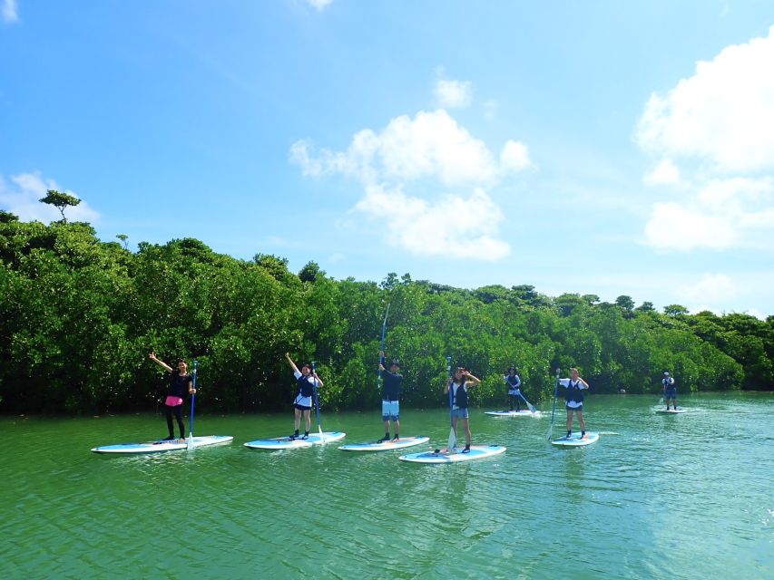 Ishigaki Island: SUP/Kayaking and Snorkeling at Blue Cave - Customer Reviews and Location Details