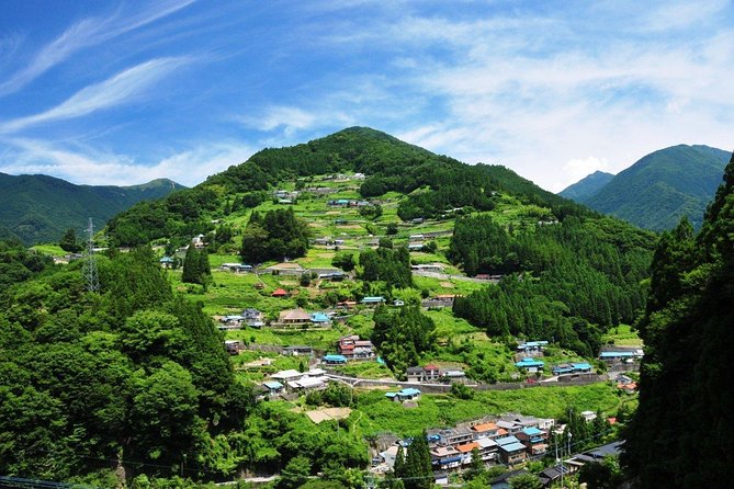 Iya Valley All Must-Sees Private Chauffeur Full-Day Tour With a Driver - Ochiai Village