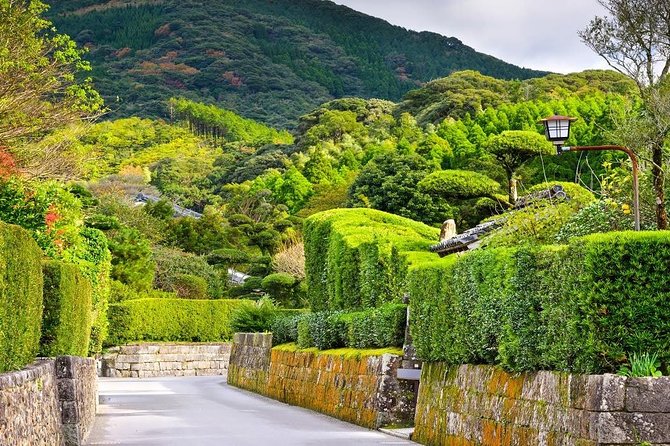 Kagoshima Full-Day Private Tour With Government-Licensed Guide - Additional Information