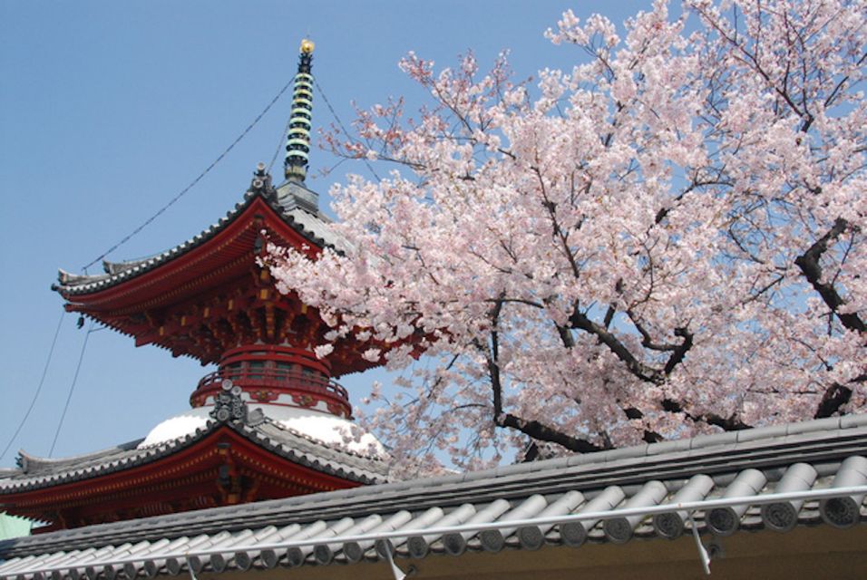 Kansai: Hanshin Railway 1-Day Tourist Pass - The Sum Up