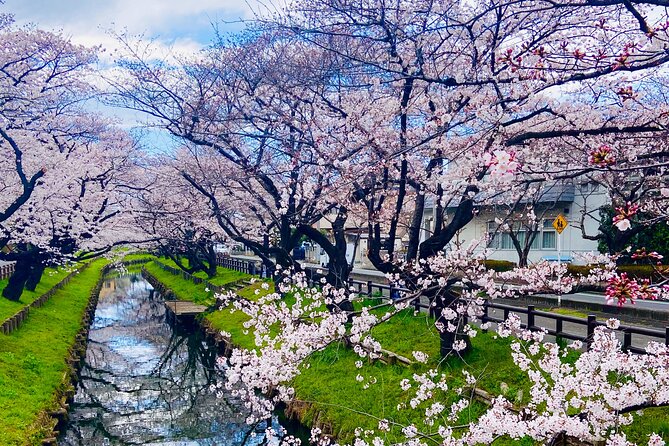 Kawagoe Local Trip : Uncovering the Hidden Treasures - Serene Nature Retreats