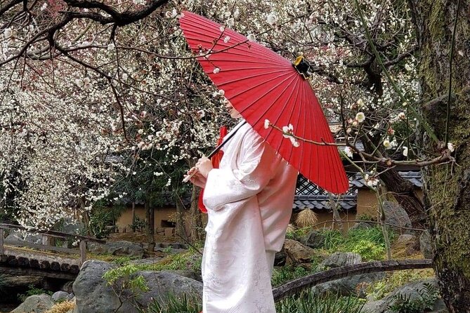 Kimono in Asakusa - Kimono Rental Tips and Recommendations