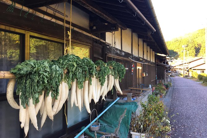 Kiso Valley Nakasendo Private Guided Day Hike  - Gifu Prefecture - Traveler Photos on the Nakasendo Trail