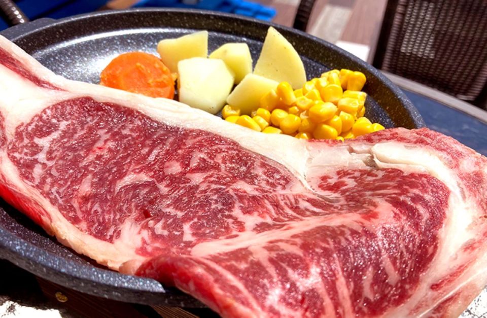 Mt Fuji and Lake Kawaguchi Scenic 1-Day Bus Tour - Additional Information