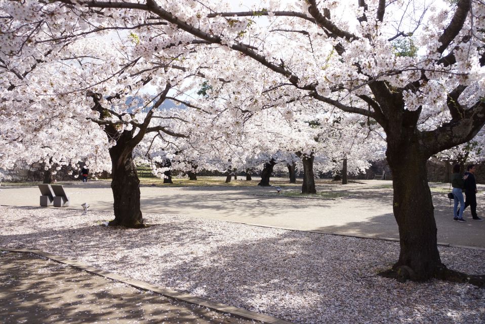 Nagano: 1-Day Snow Monkey & Cherry Blossom Tour in Spring - Frequently Asked Questions
