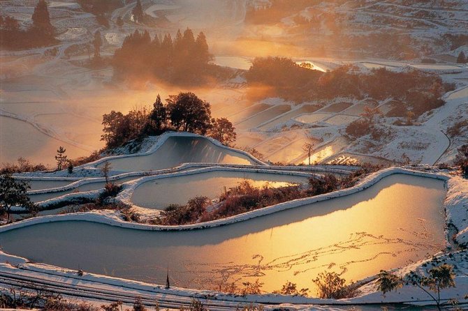 Niigata Full-Day Private Tour With Government-Licensed Guide - Tour Details and Itinerary
