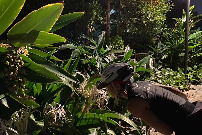 Okinawa Local Experience and Sunset Cycling Private Tour - How to Book