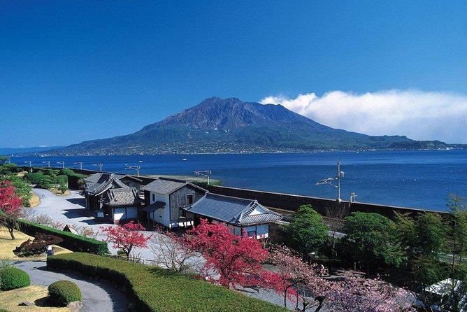 Port Pick-Up: Kagoshima Private Tour Licensed Guide＆ Vehicle - Additional Information