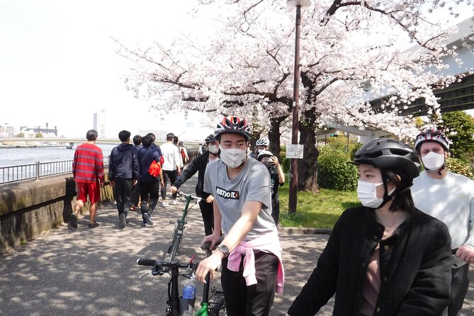 Private Half-Day Cycle Tour of Central Tokyo's Backstreets - Immerse Yourself in the Local Culture of Tokyos Lesser-Known Areas