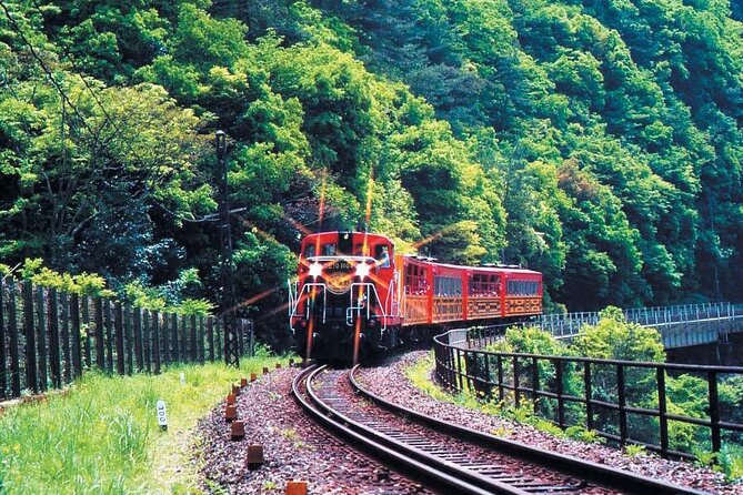 Sagano Romantic Train & Arashiyama, Kiyomizudera, Fushimi Inari Taisha Day Tour - Frequently Asked Questions