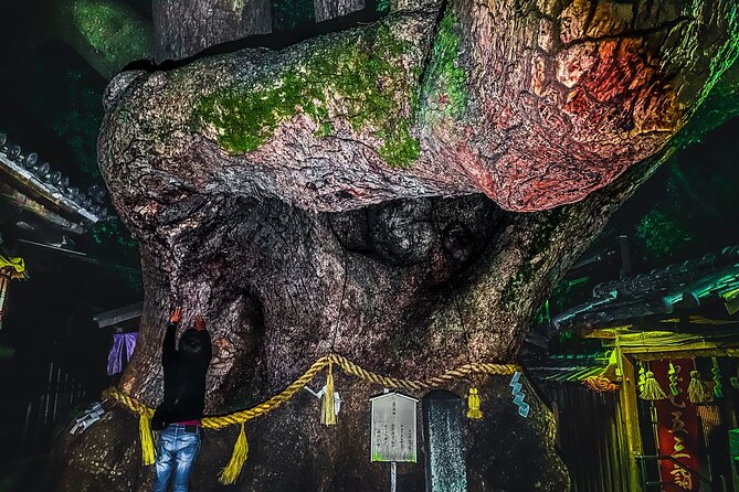 The Most Unique Shrines/Temples of Osaka & Kyoto by Private Car - Tofuku-ji Temple - Autumn Foliage Wonderland