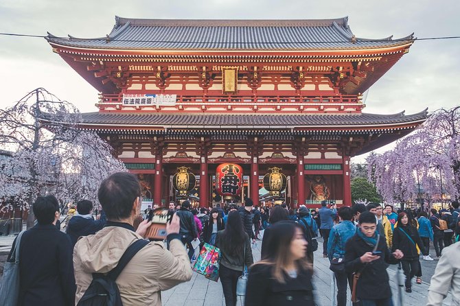 Tokyo Custom Half Day Tour - Language Options and Communication