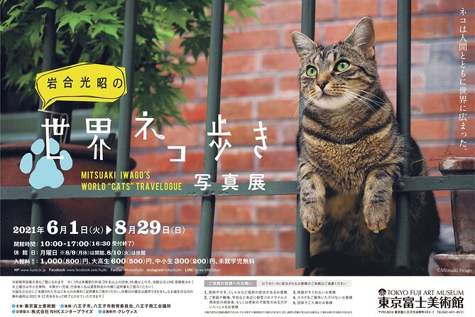 Tokyo Fuji Art Museum Admission Ticket Special Exhibition (When Being Held) - Artwork and Artifacts on Display