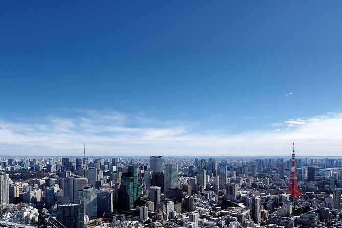 Tokyo Full-Day Instagram Highlights Private Tour With Government-Licensed Guide - Tour Highlights