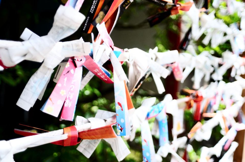 Tokyo: Japan's Cultural Curiosities Walking Tour - Eco-Friendly Experience