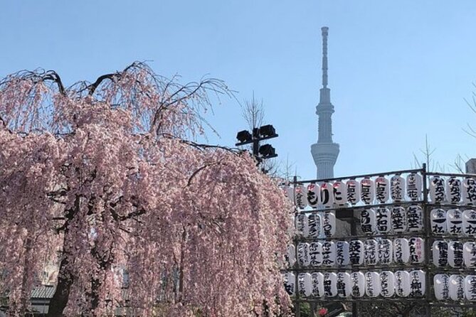 Tokyo Private Day Tour by Car With English Speaking Driver Guide - Recommended Attractions