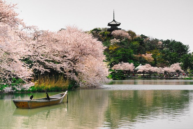 Yokohama Half Day Tour With a Local: 100% Personalized & Private - Traveler Reviews and Ratings