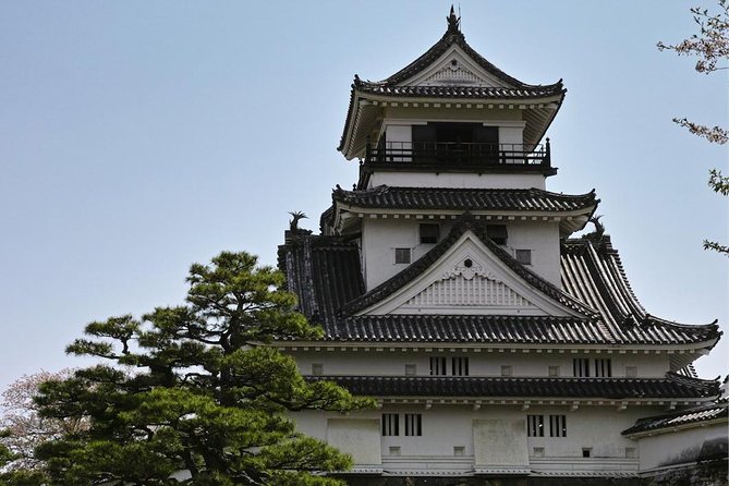 1-Day Kochi Highlights Tour With Local Guide - Navigating Kochis Hidden Gems